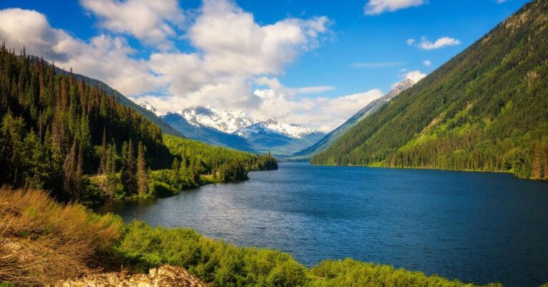 B.C. government urged to form housing policy roundtable